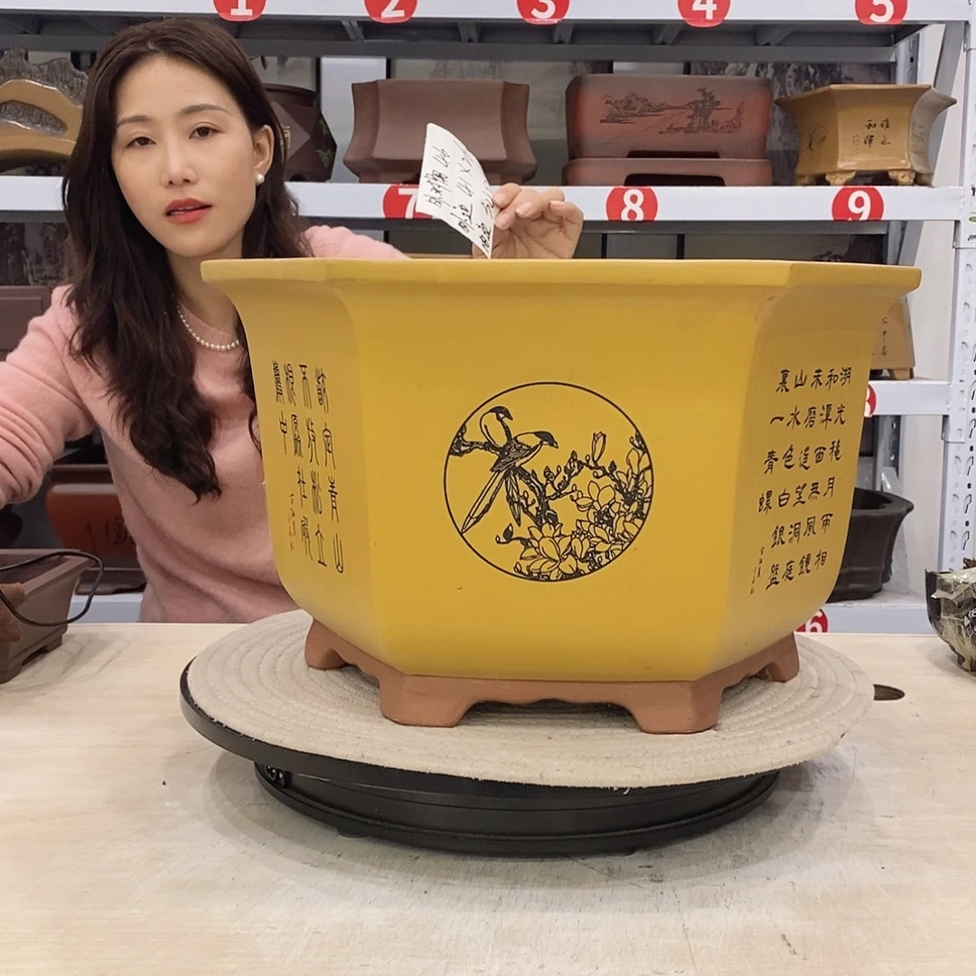 紫砂花盆紫砂花盆