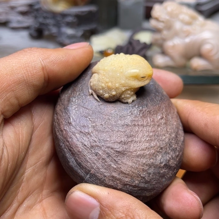 老挝石小****晴11111111111111