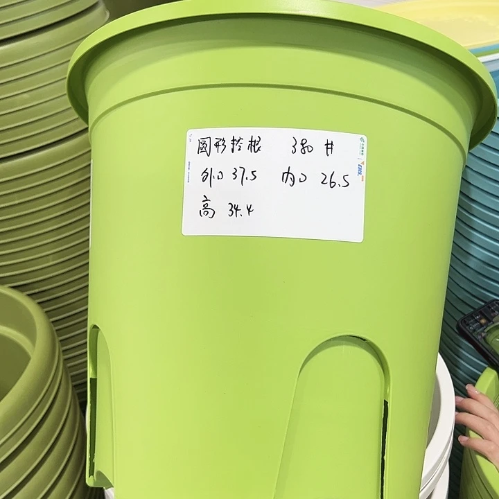 正品圆控口38高34果绿无托3只