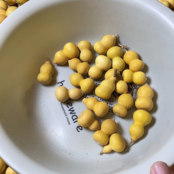 水***声111111111111111111111888