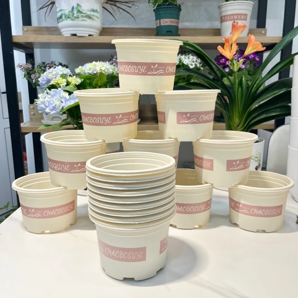 150矮加仑白（口径15厘米高10厘米）拍一发十送拖盘