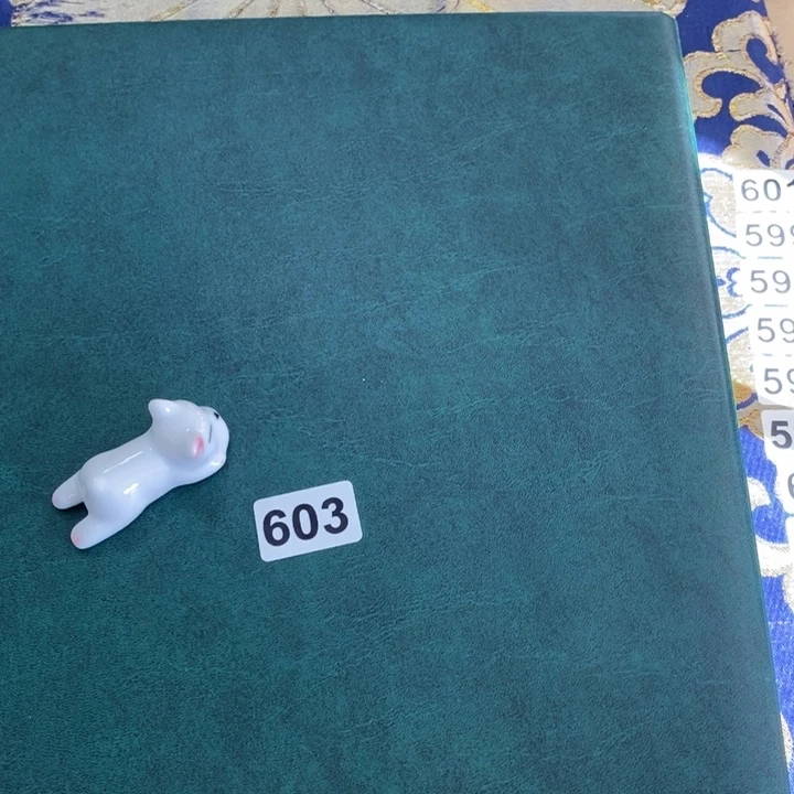 瓷片哦哦哦哦在中央音乐学院