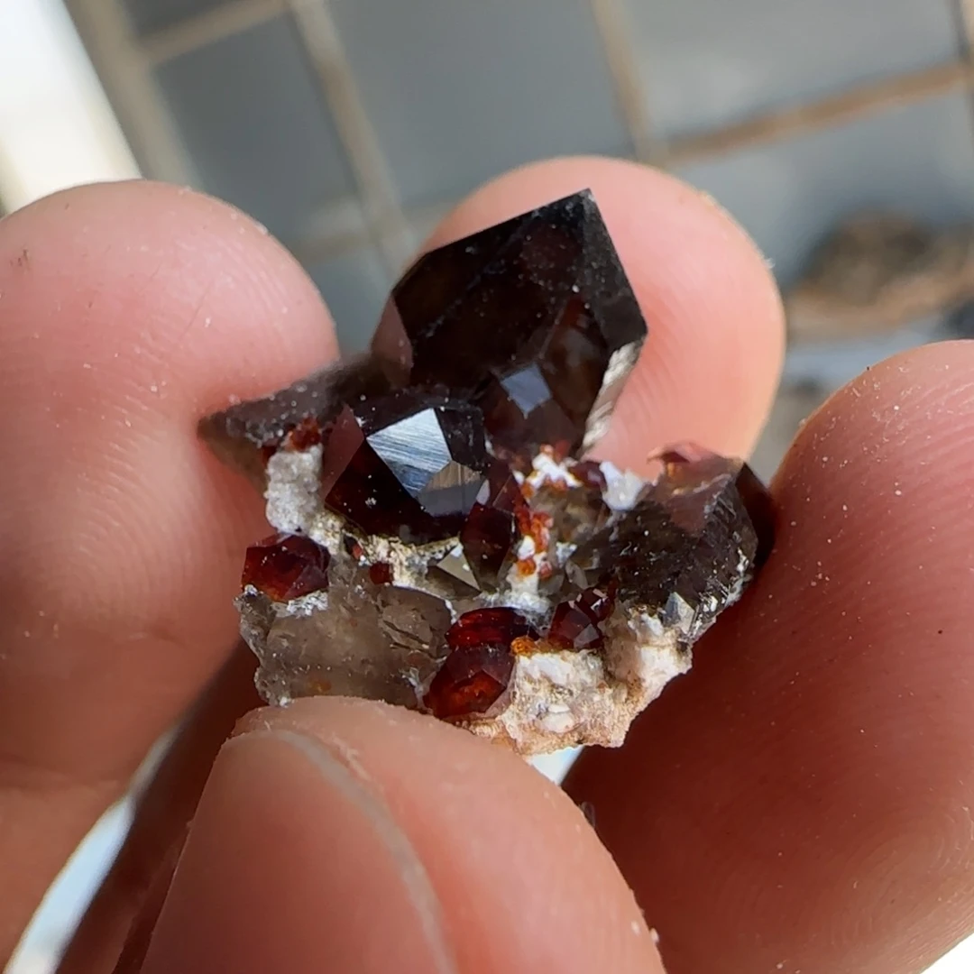 昌化石印石蒙**多原石料