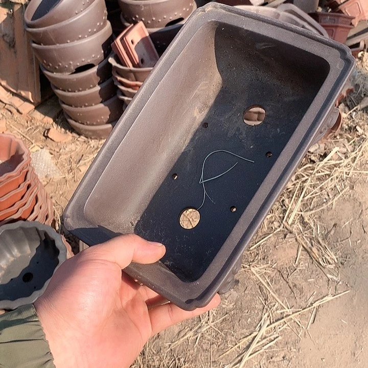 紫砂我要不明天要回家不