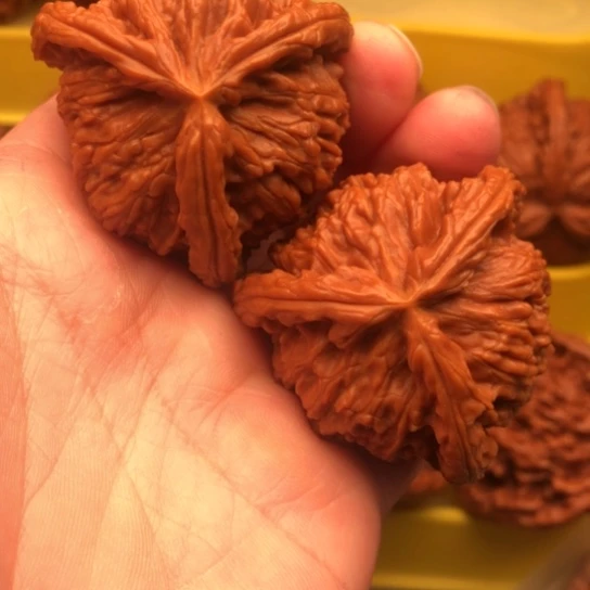 非***白核桃核桃核桃核桃