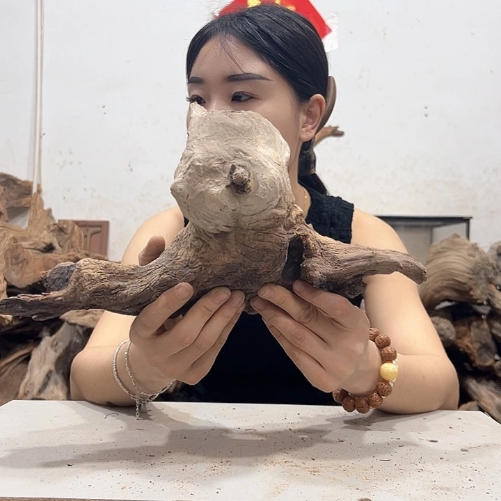 柏木用****5我们的生活也