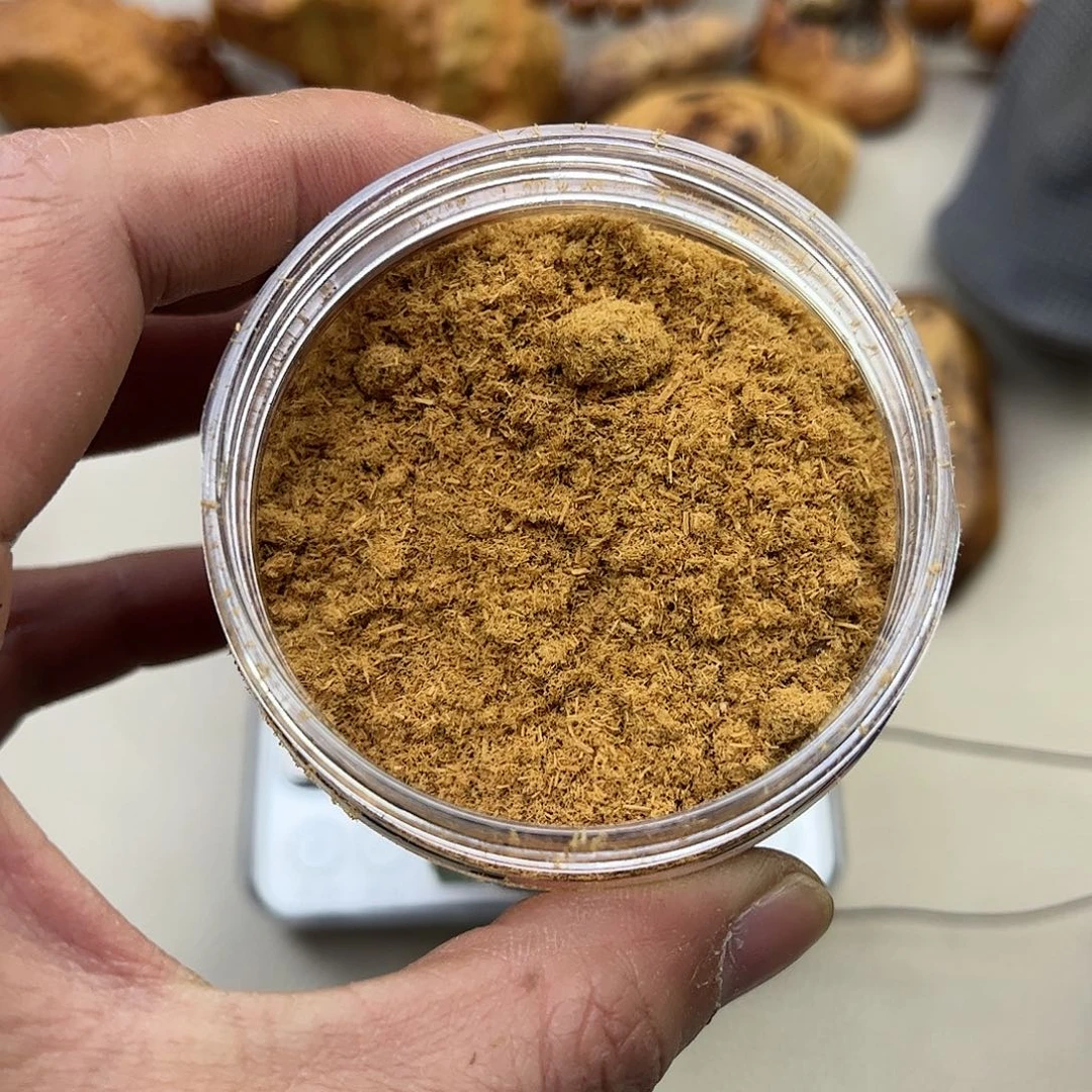 柏木（崖柏）其他崖柏粉末一斤