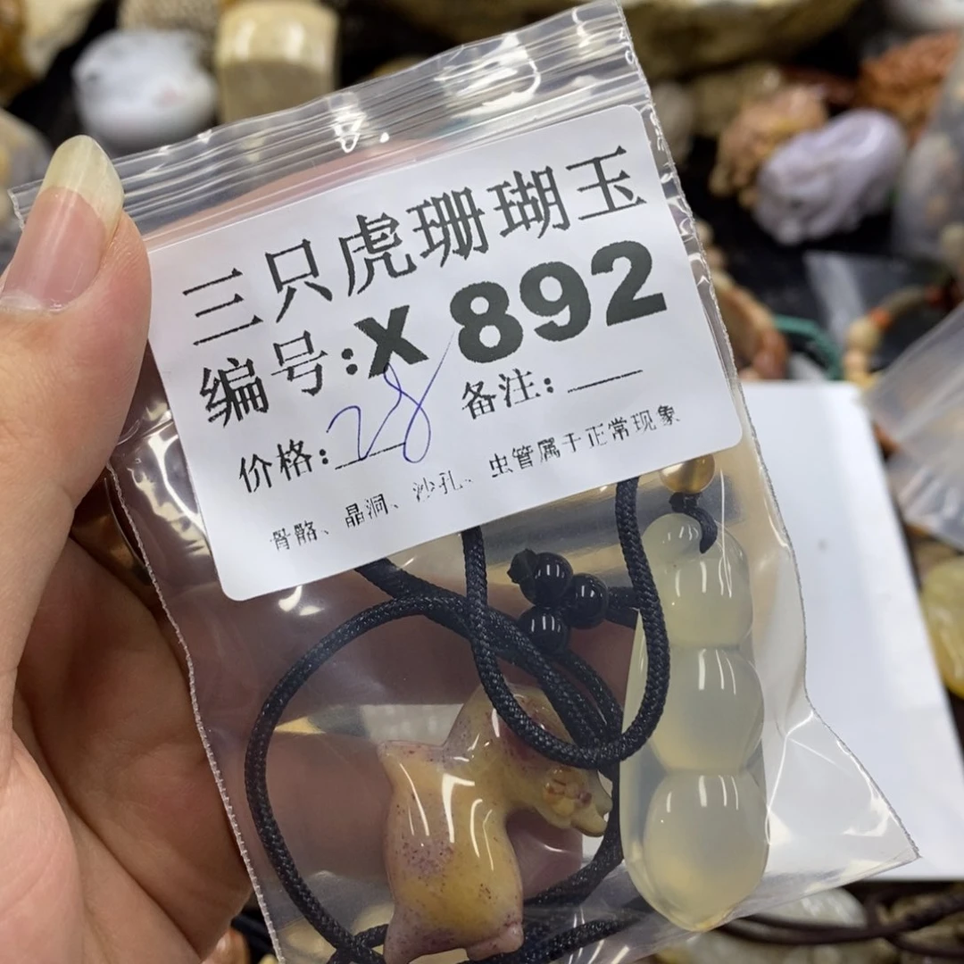 硅化珊瑚（珊瑚玉）X未镶嵌翌**辰