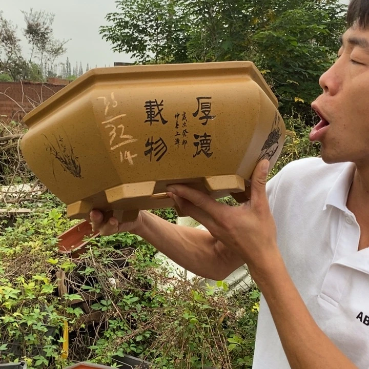 紫砂花盆紫砂艺术学院的学生