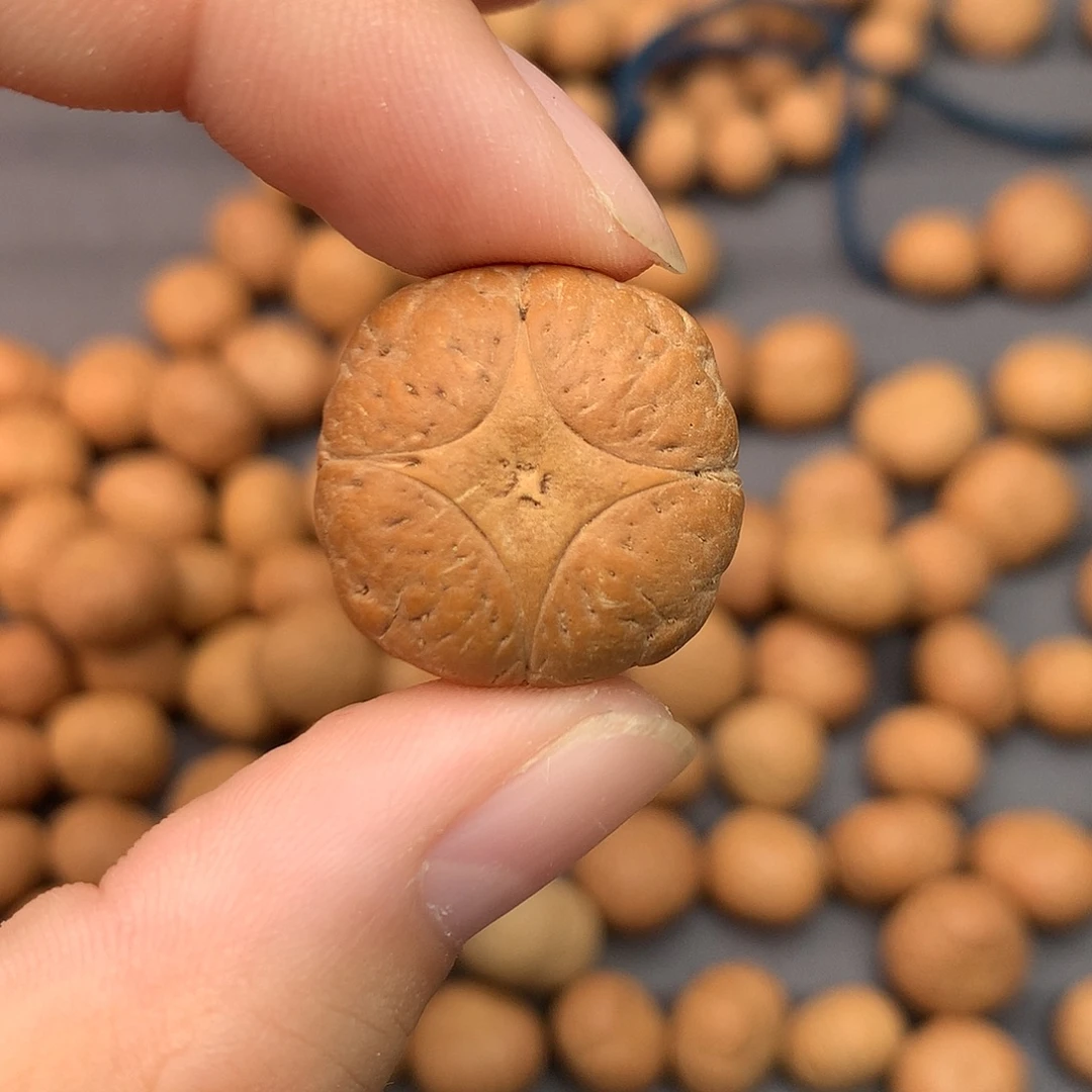 张***容吊坠凤眼菩提凤眼菩提24尺寸，非质量问题打孔不退不换