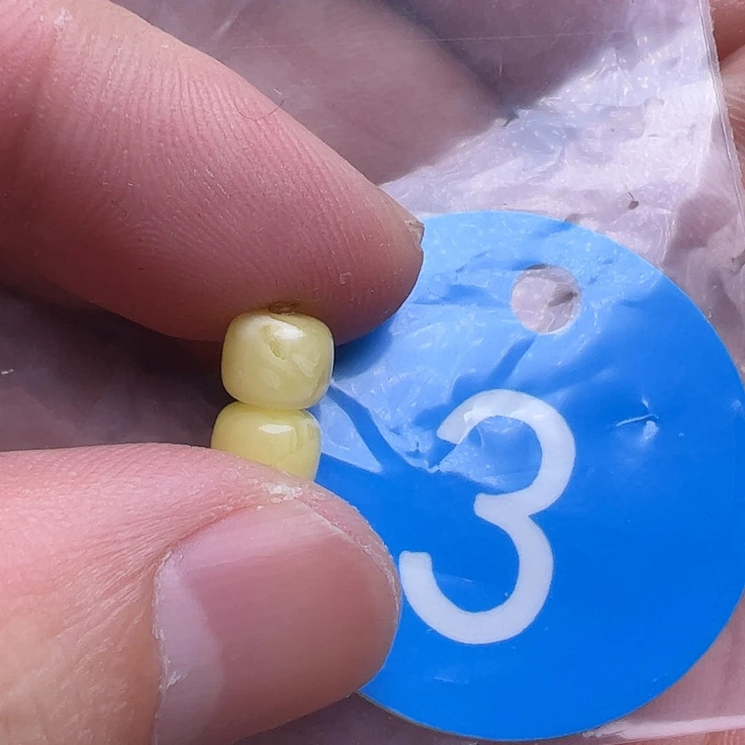 蜜蜡未镶嵌珠宝奇石6.5mm
