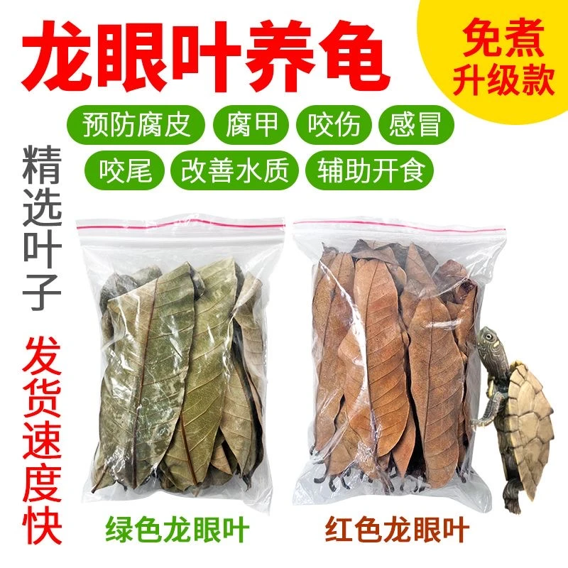 精品免煮龙眼叶养龟专用预防腐皮乌龟改善水质水族造景叶子