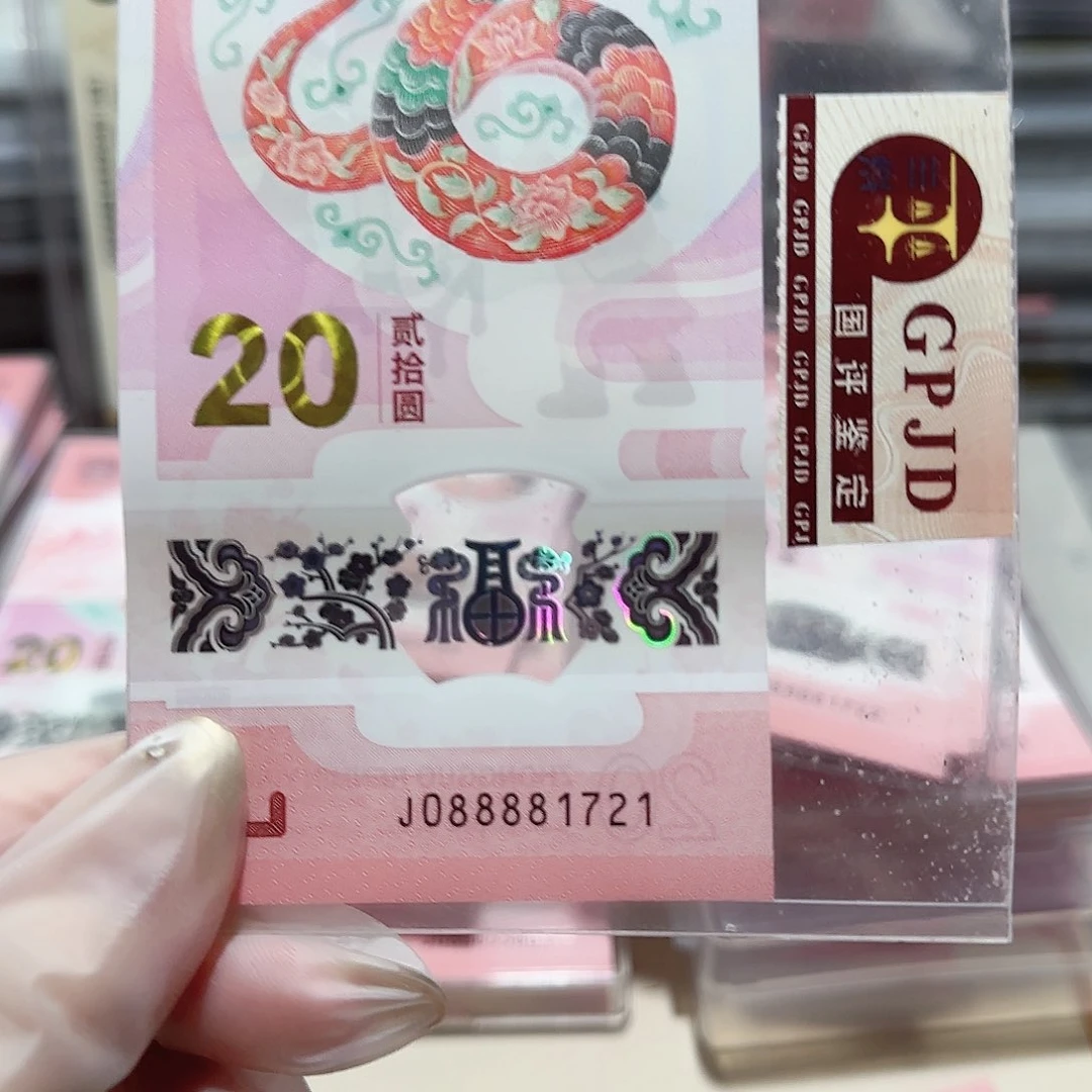 纸088881721。。。。。。。。。