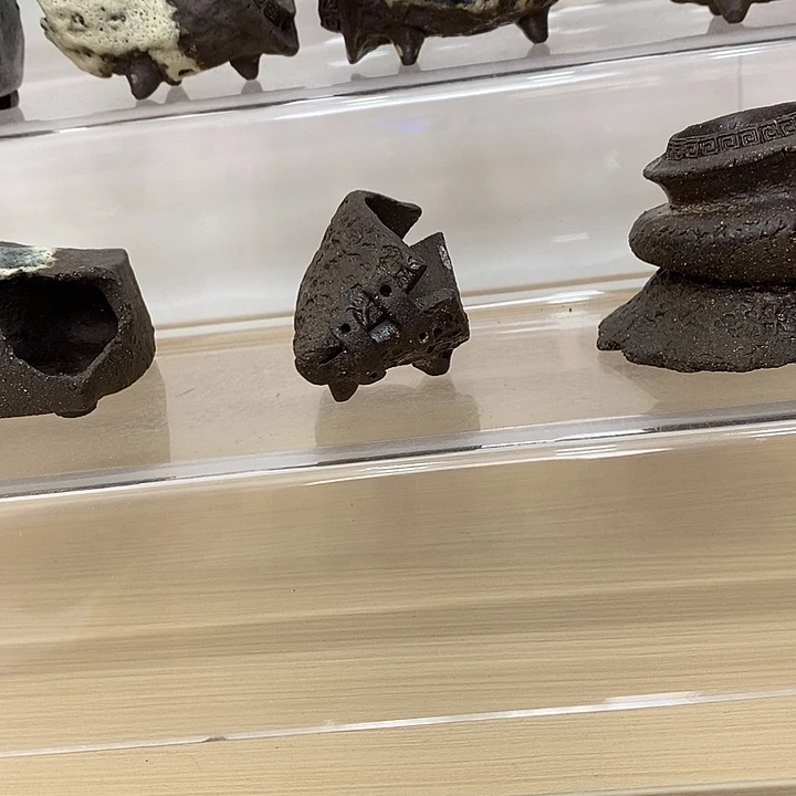 完***义无花朵588888888888