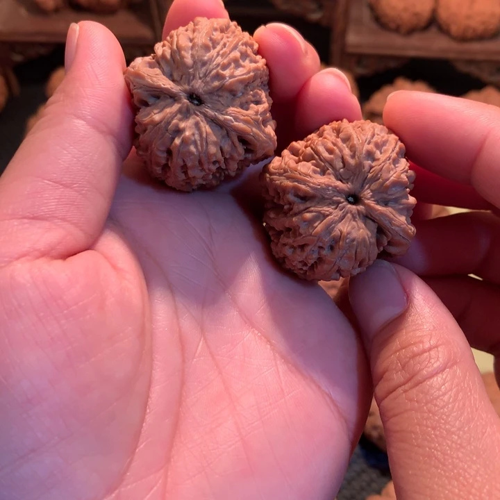 文玩核桃把件伯**选大蒜头