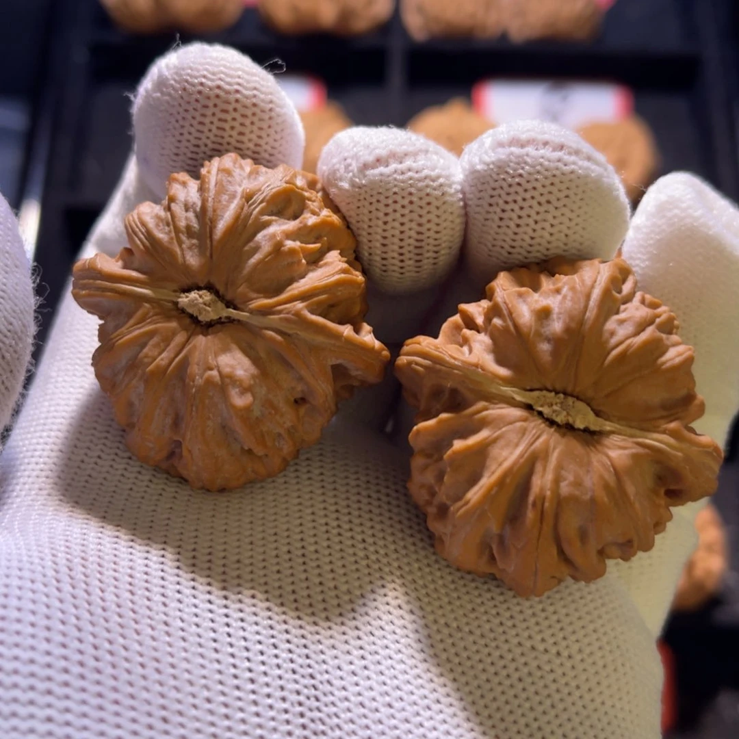 D****u秦皇岛山地果全品—57