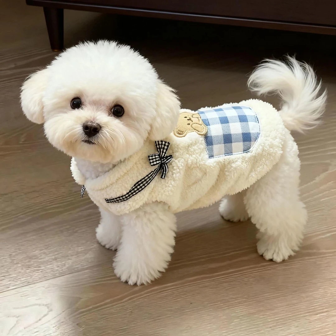 狗狗衣服秋冬装保暖宠物衣服口袋熊小型犬幼猫宠物衣服猫咪衣服N