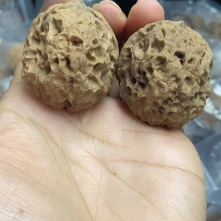 把件文玩核桃云南铁核桃基地61