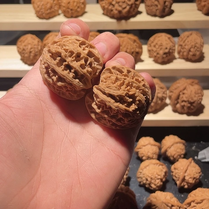 苹果园狮子头全品无修2