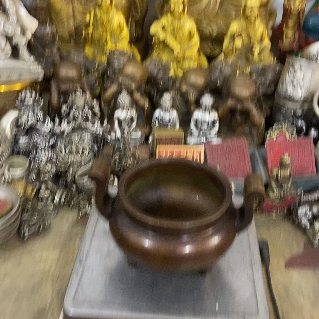 白天白天，白天，白天，白天白天