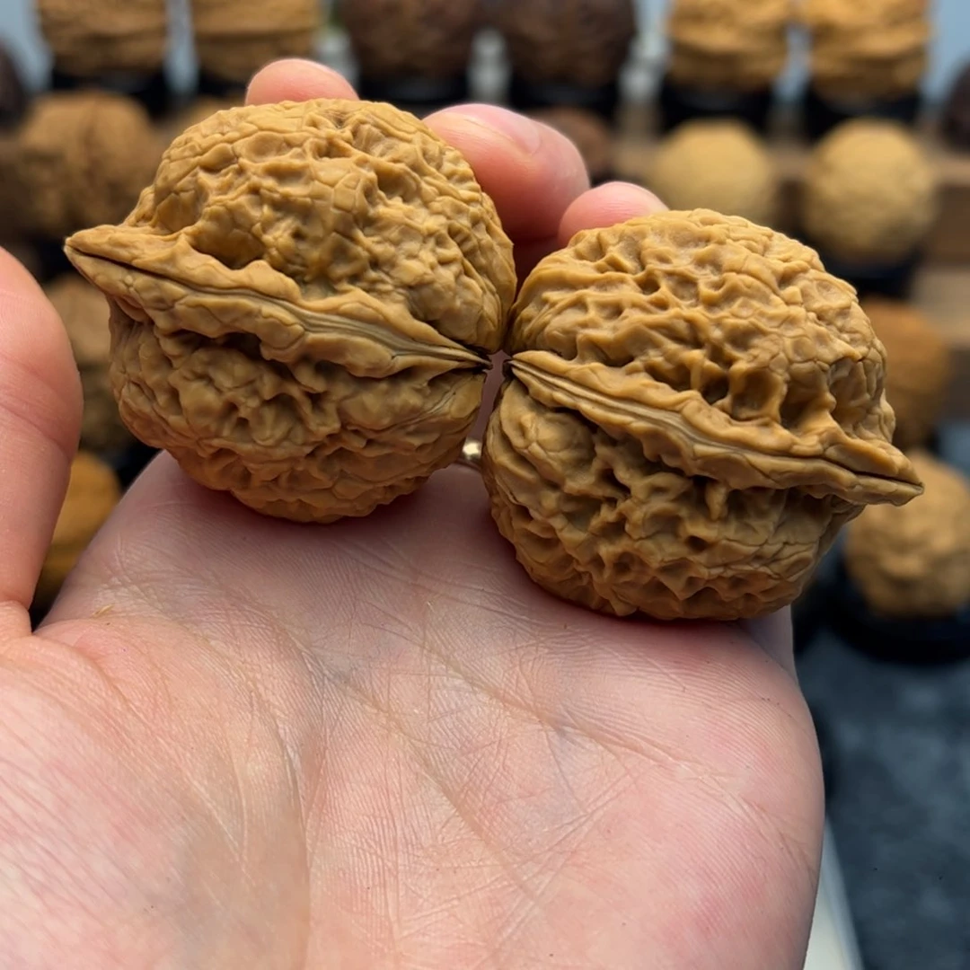 文玩核桃把件羊*阳42mm粗筋龙纹
