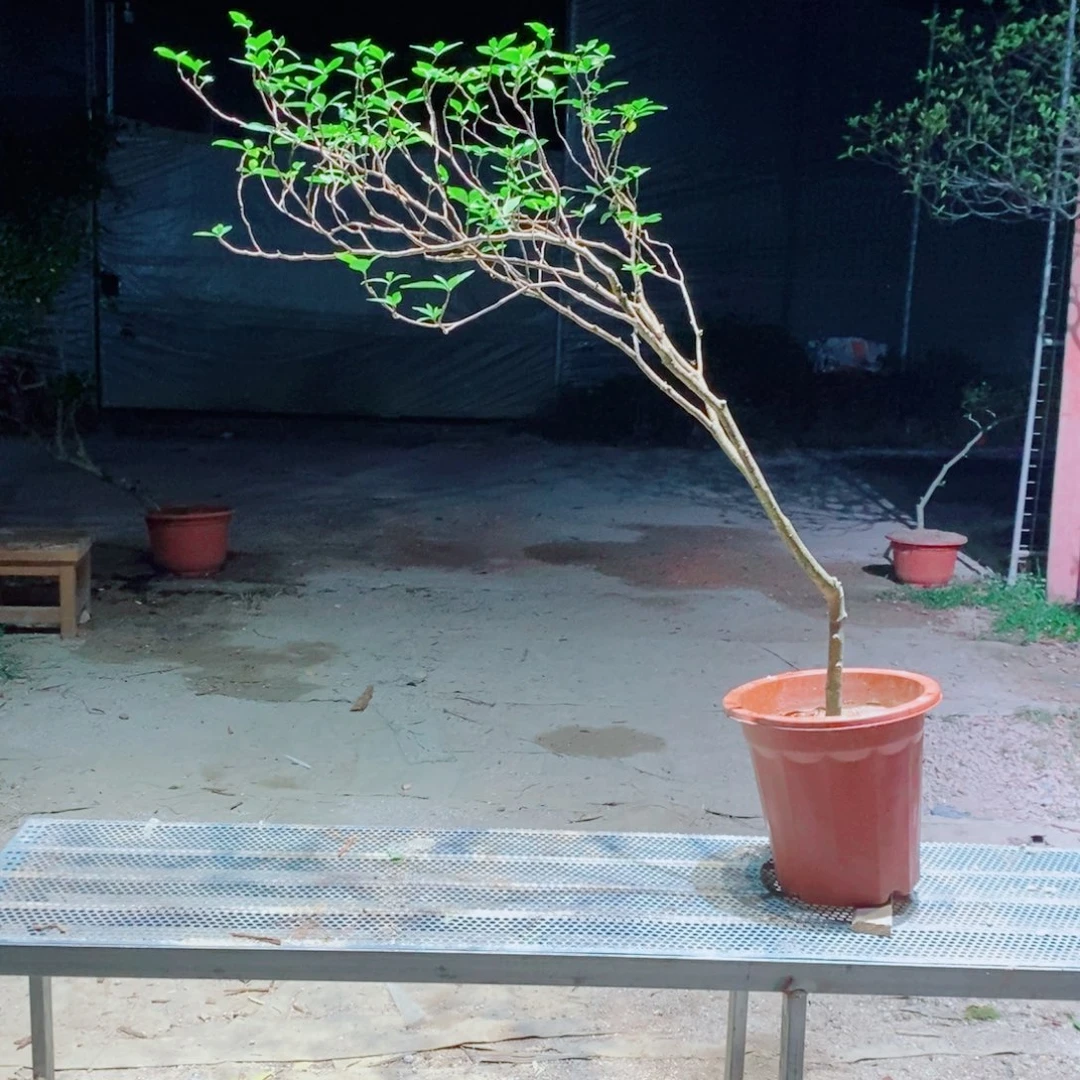 刘***健感谢您的支持和配合和帮助