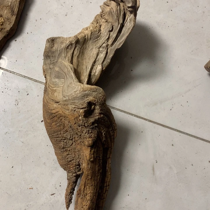 小***钱无花朵今天晚上在学校吃饭