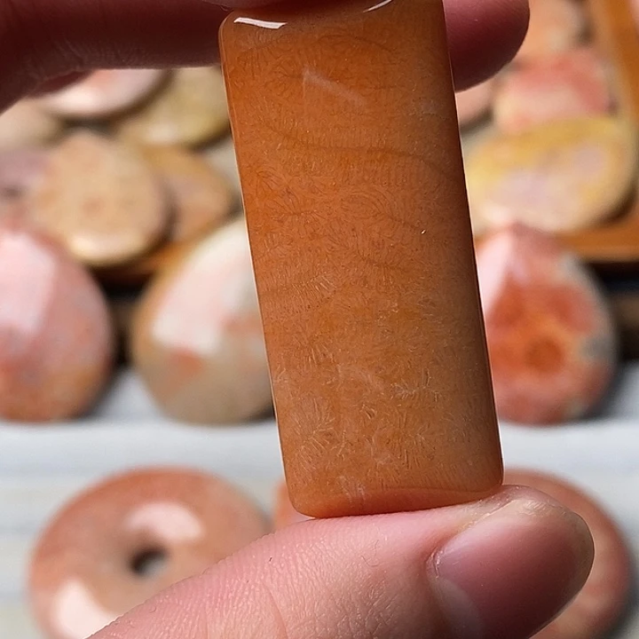 顺***水硅化珊瑚未镶嵌颈饰