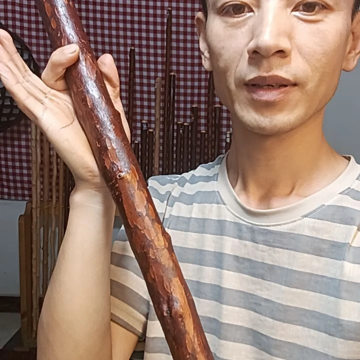 海***川太行山北对节鞭杆