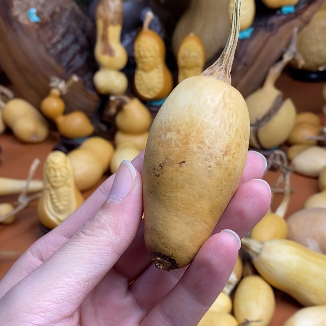 圆***圆教练咯教练咯教练咯教练