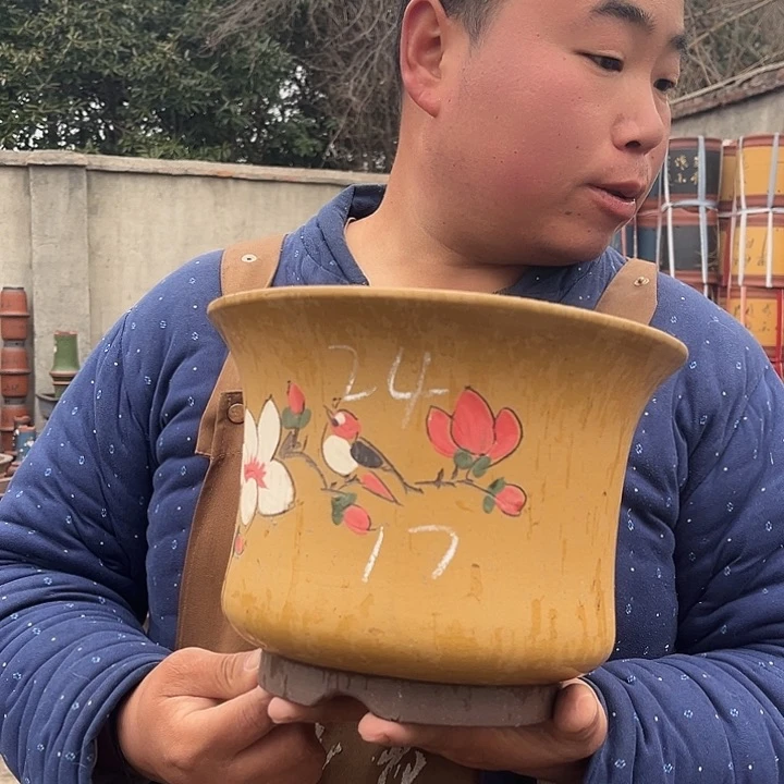 紫砂紫砂花盆盆栽