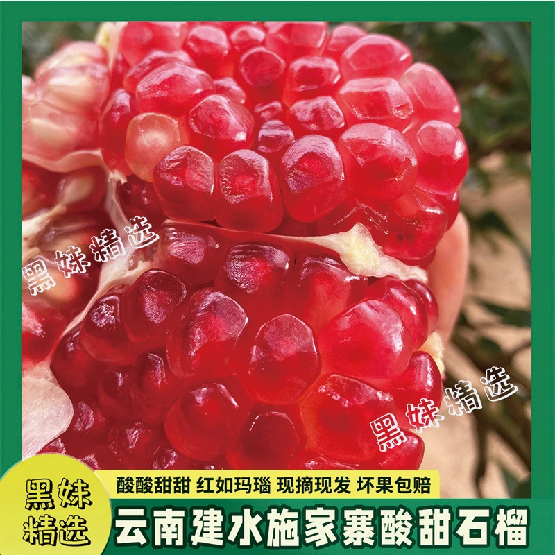 正宗云南建水施家寨老树酸甜石榴新鲜水果