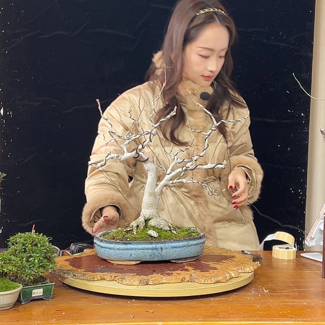 无花朵老白和田老林