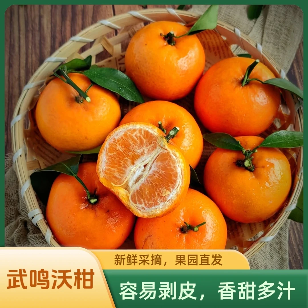 正宗广西武鸣沃柑6斤/10斤