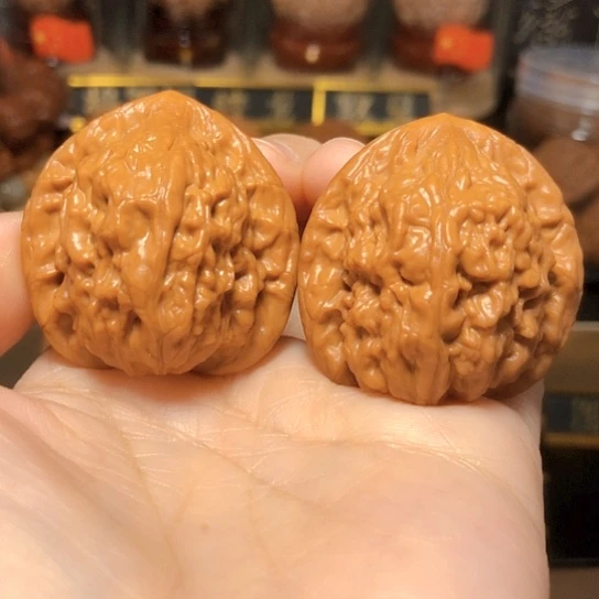 今日福利：九月（全家福）