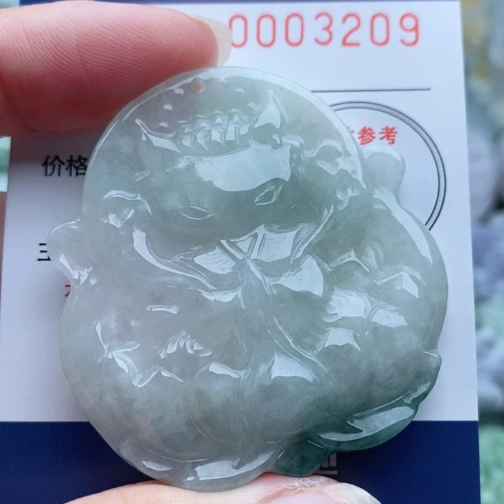 翡翠未镶嵌颈饰一