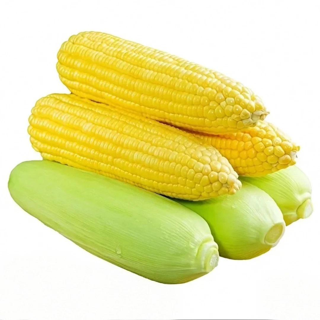 4个带壳甜玉米香糯玉米浙江省