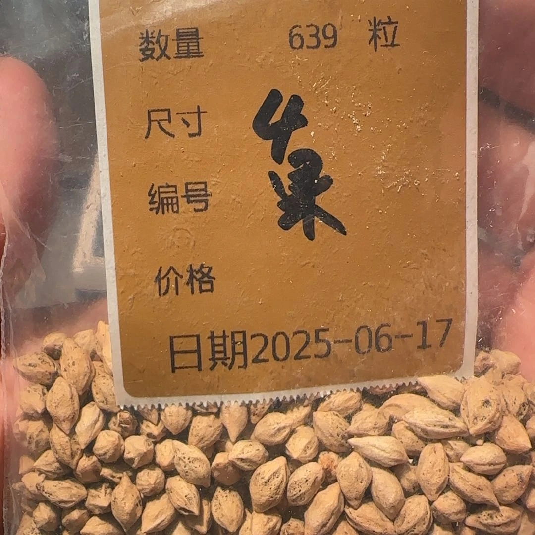 柏香籽/百香籽吊坠4