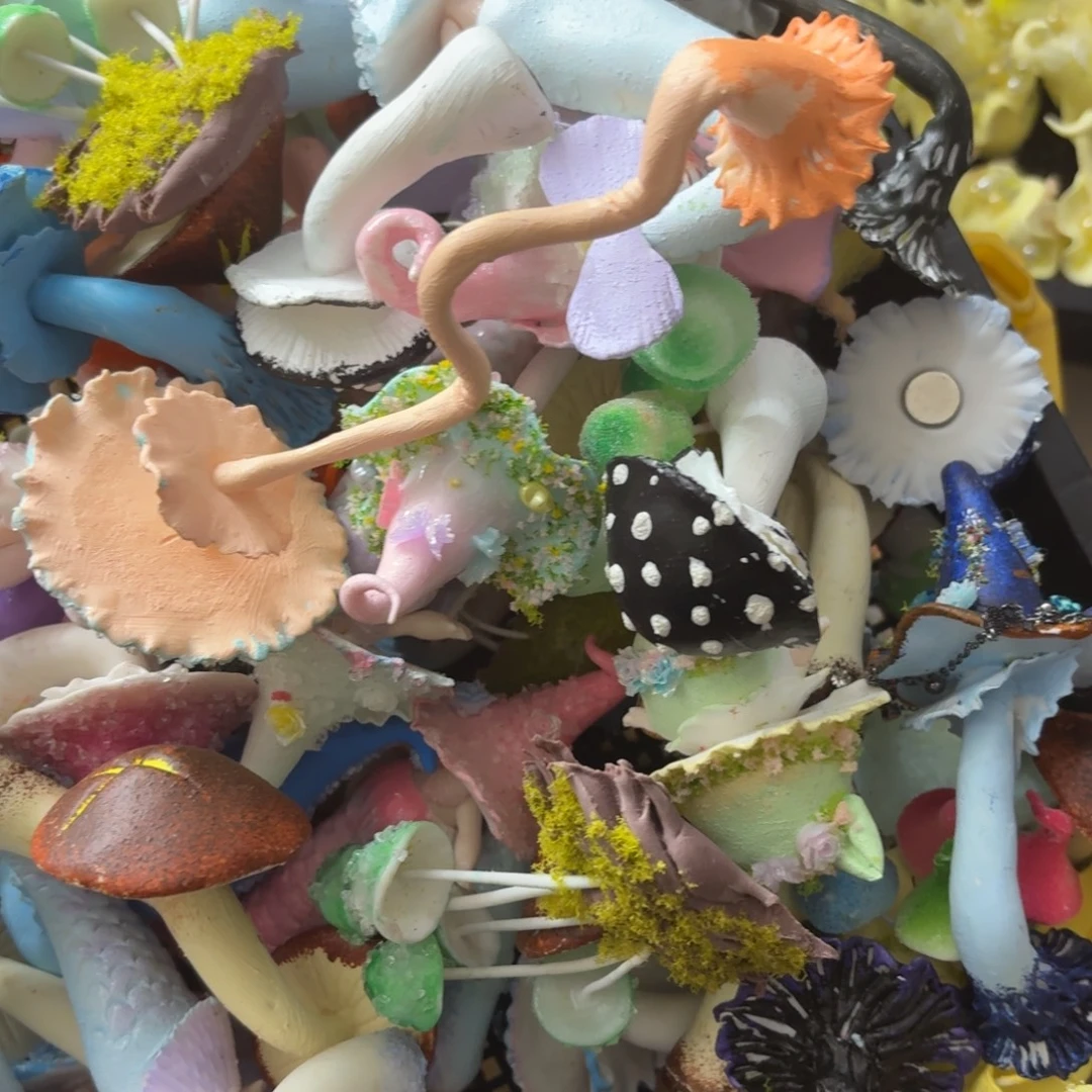 树脂76号2个哦哦哦哦哦哦哦