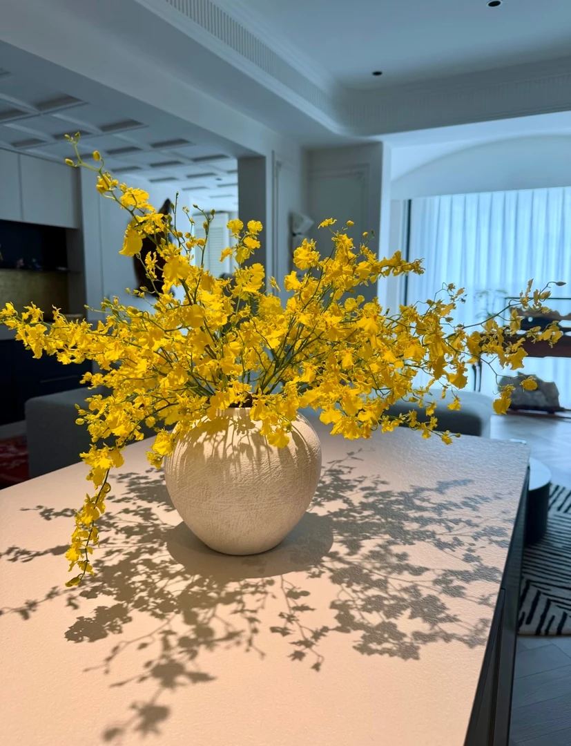 多芬名仕·SS级柠檬黄跳舞兰文心兰鲜切花 源头品质基地鲜采直发