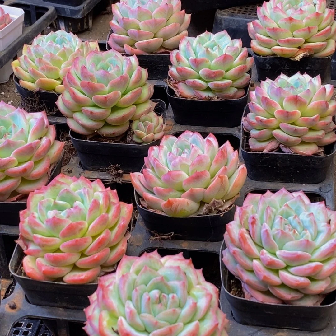 003的人在一起的时候就这样