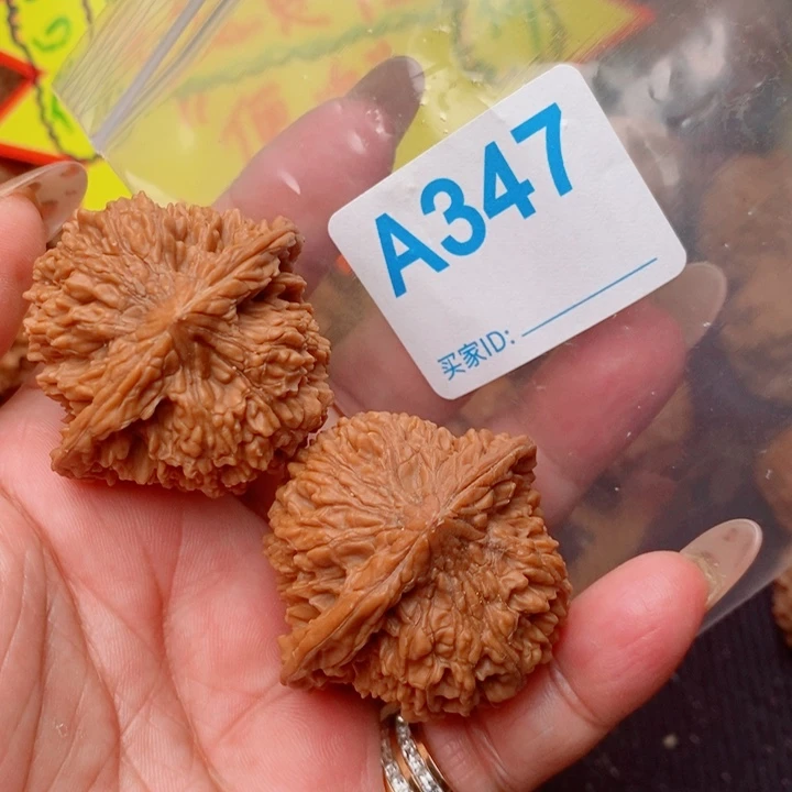 满天星43尺347号123