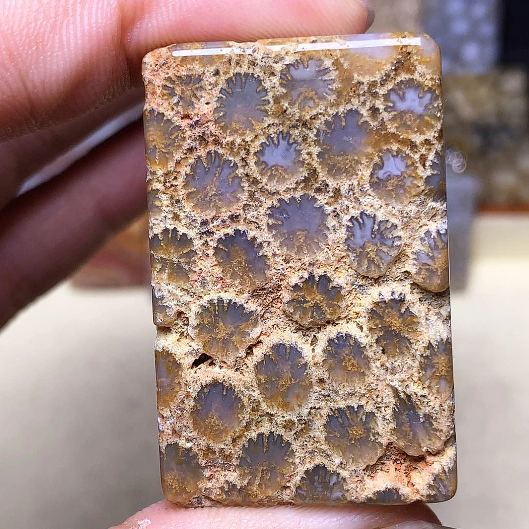 硅化玉珠宝奇石合金?****