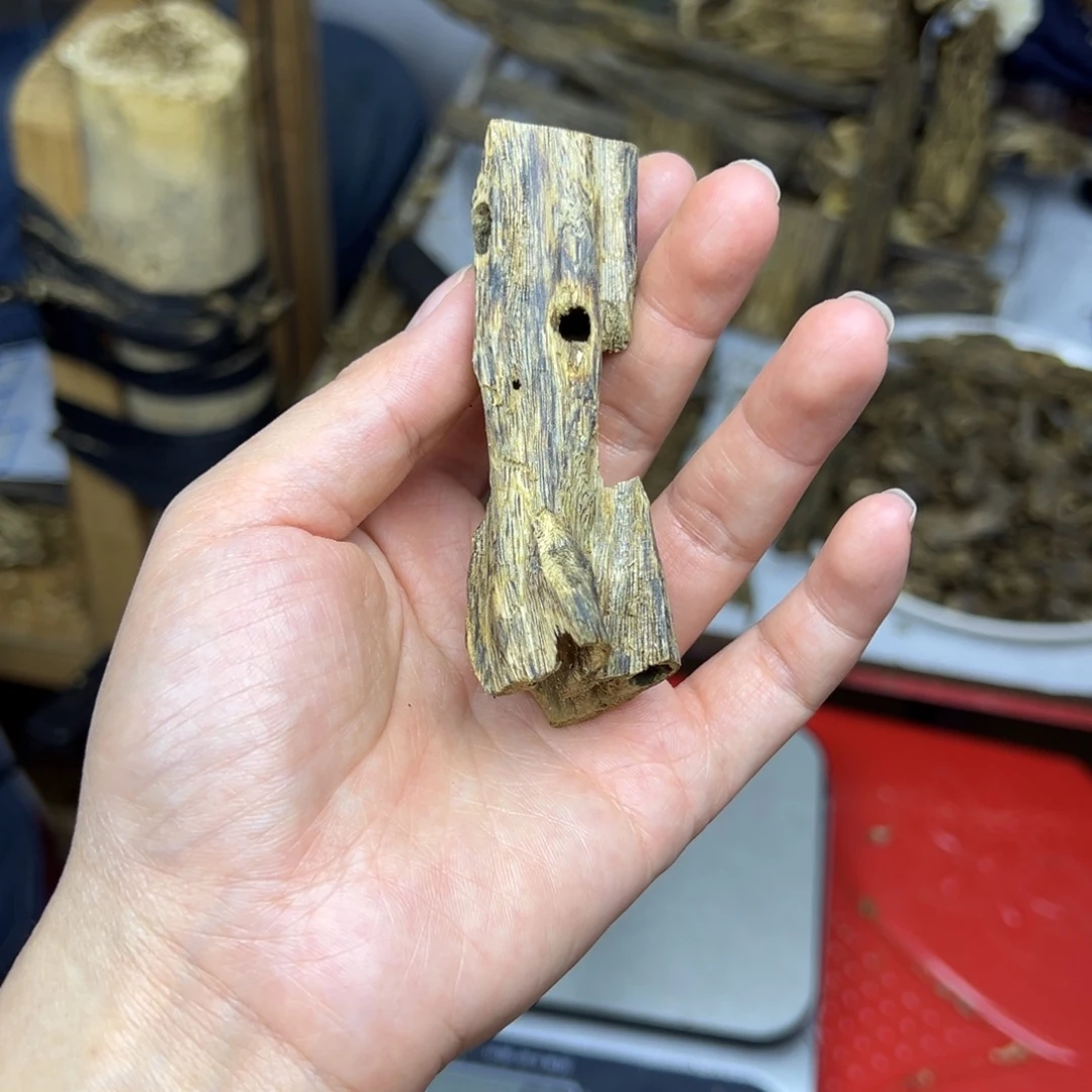 线香奇楠虫漏香9克