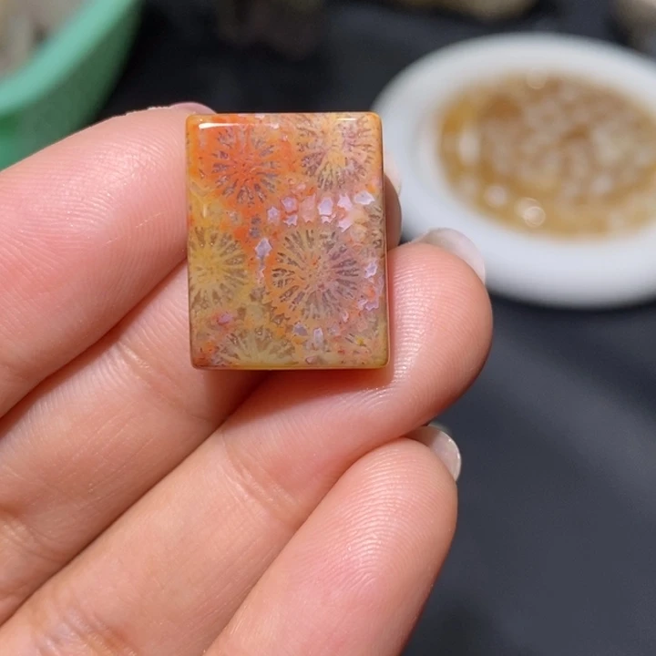 【闪购商品】未镶嵌珊瑚玉硅化玉