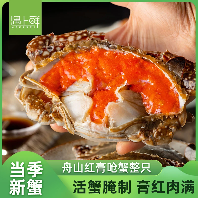 舟山红膏呛蟹 精选母蟹 严选生腌梭子蟹 【冻蟹】4-6两/1只0.8斤