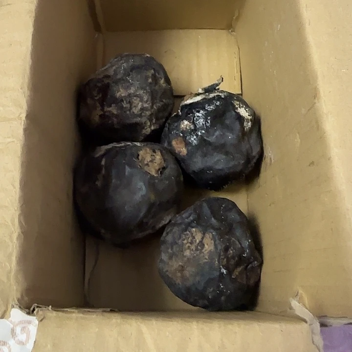 木***s把件文玩核桃蛤蟆头