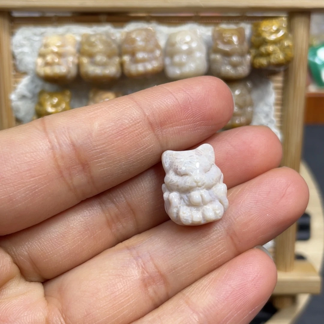 红***儿硅化玉未镶嵌颈饰k3