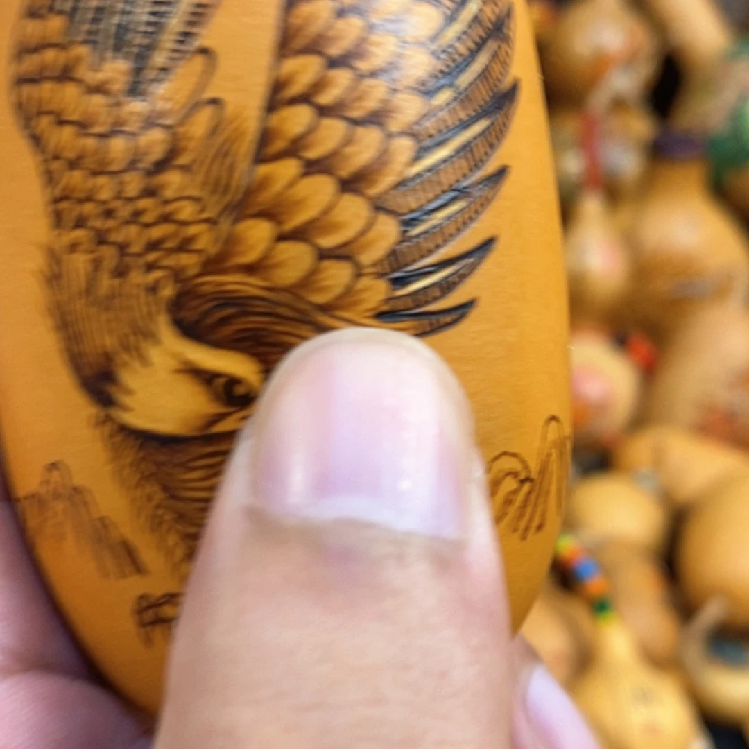小***芦哦哦哦哦哦哦哦哦哦哦哦