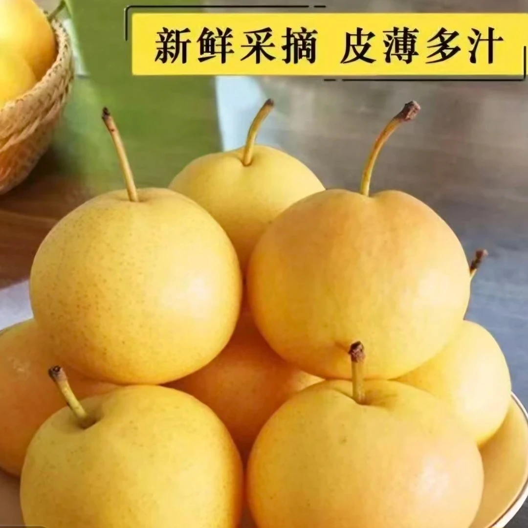 鞍山特产(笨南果梨)  家庭版酸甜可口 产地直发  偏远地区不发货